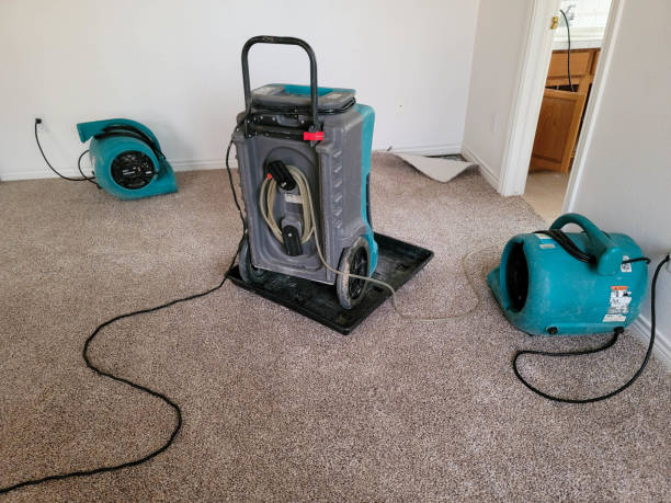 Best Mold removal after water damage  in Columbia Heights, MN