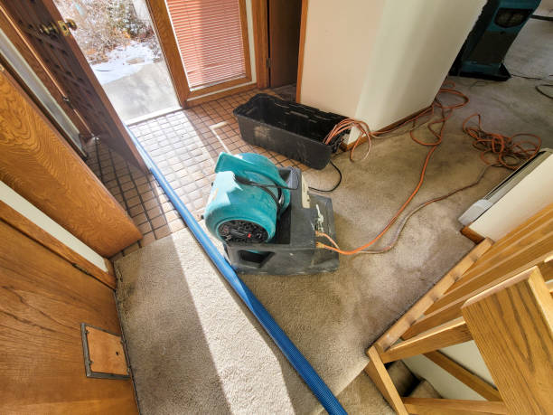 Best Water damage restoration near me  in Columbia Heights, MN