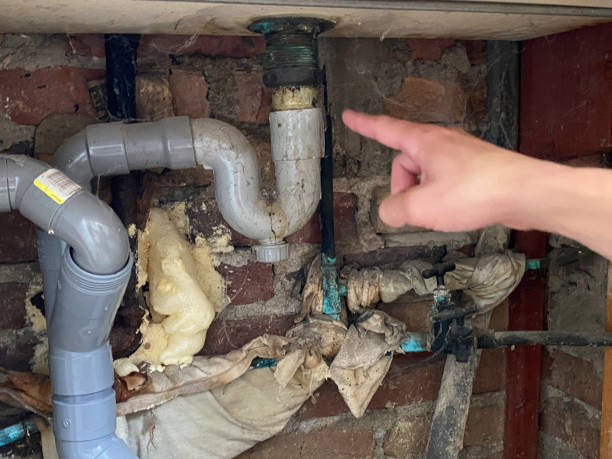 Best Basement water damage restoration  in Columbia Heights, MN