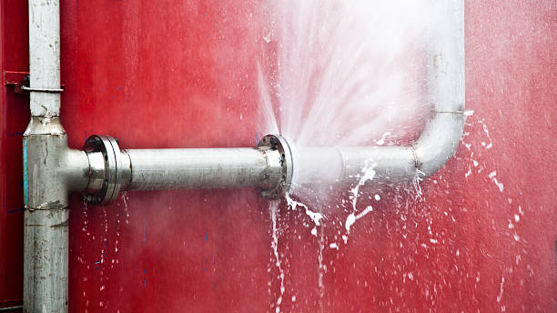 Best Local water damage restoration  in Columbia Heights, MN