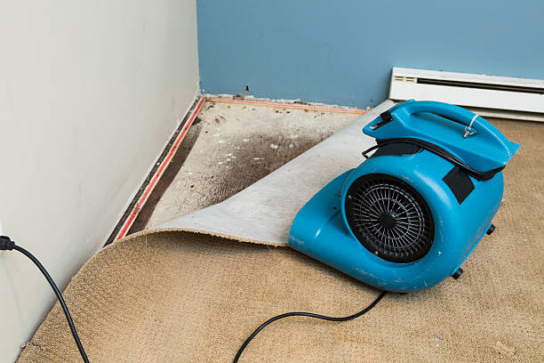 Best Carpet water damage restoration  in Columbia Heights, MN